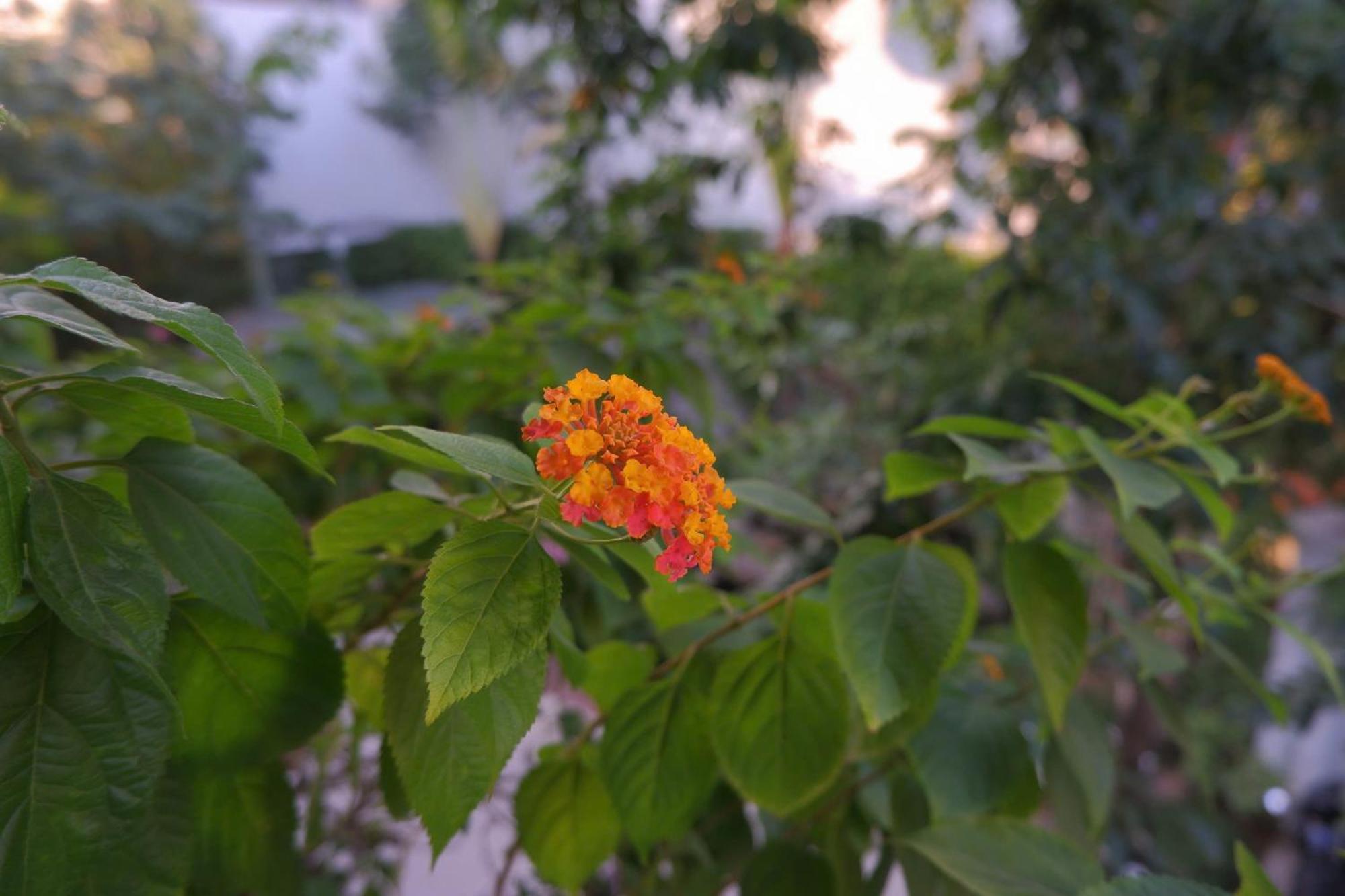 Tuong VI Hotel Hai Phong Luaran gambar